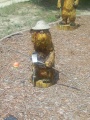 Bear Fishing